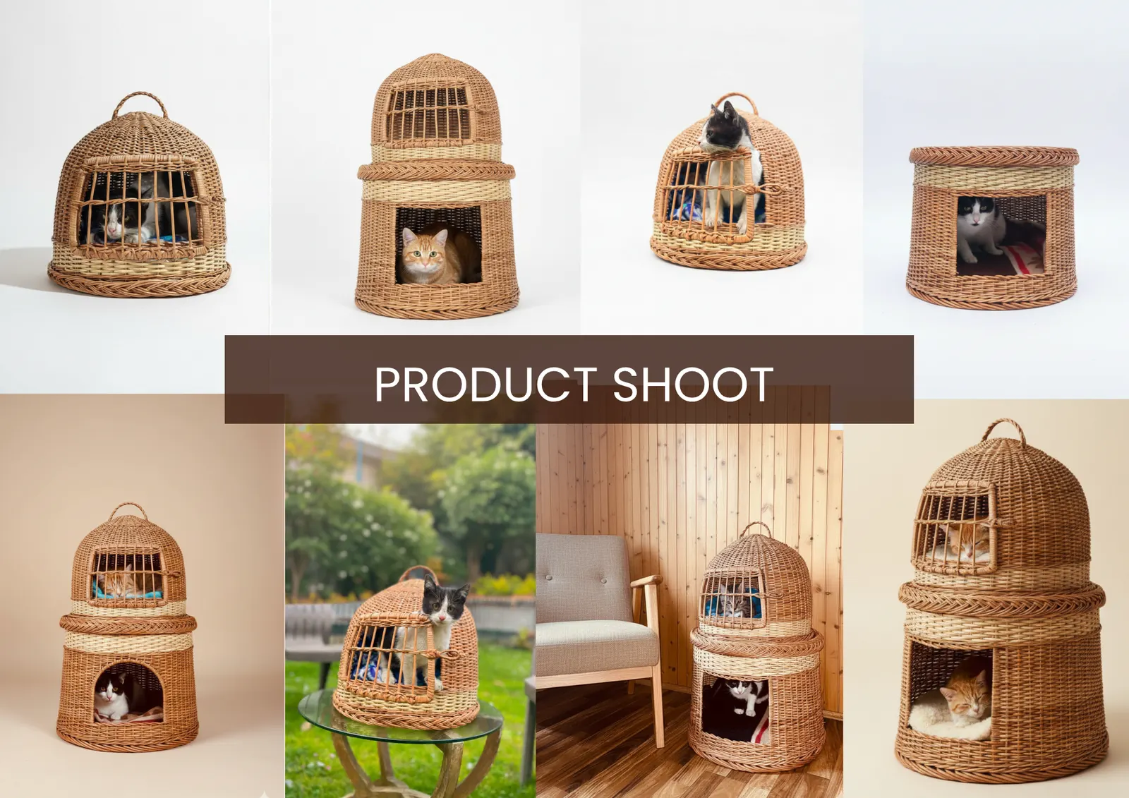 Cat home, board 13 of 14